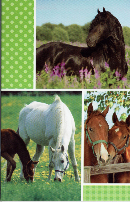 Blanco kaart voor de paarden liefhebber