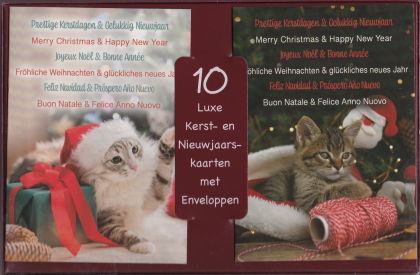 10 Kerstkaarten met katten